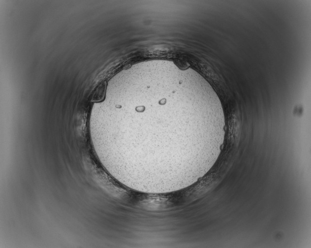 X0000115350278200911241200