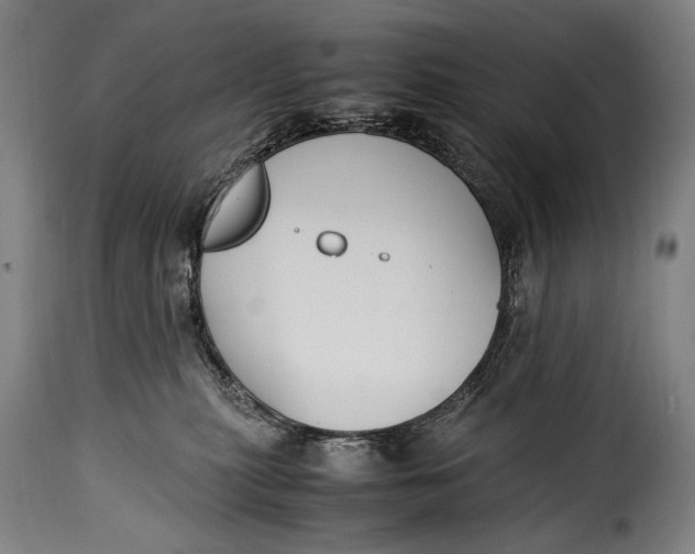 X0000115350279200911241200