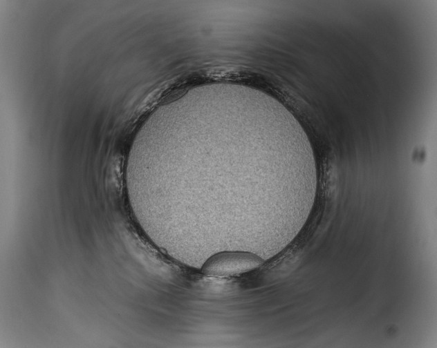 X0000115350280200911241200