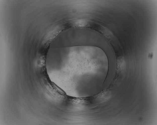 X0000115350284200911241200