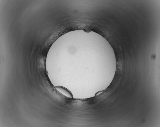 X0000115350286200911241200
