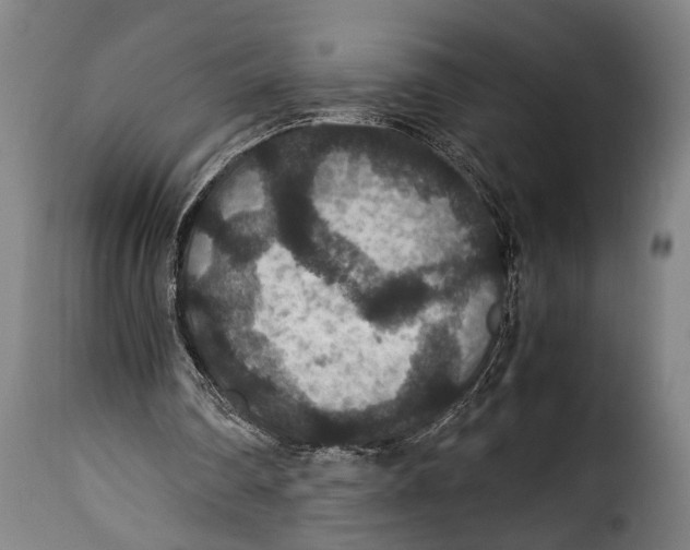 X0000115350290200911241159