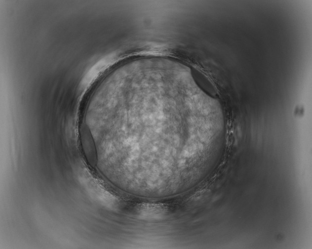 X0000115350296200911241159