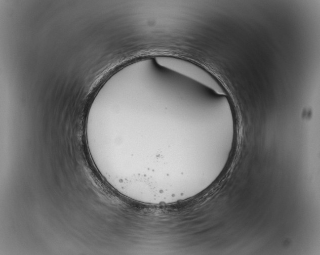 X0000115350297200911241159