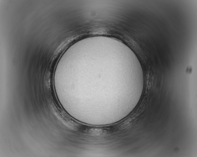 X0000115350298200911241159