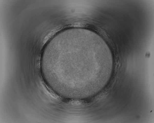 X0000115350299200911241159