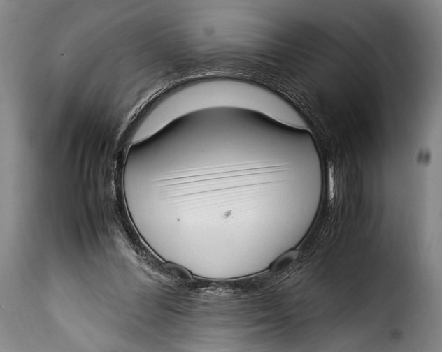 X0000115350300200911241159