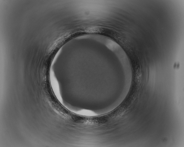 X0000115350303200911241159
