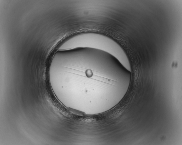 X0000115350304200911241159