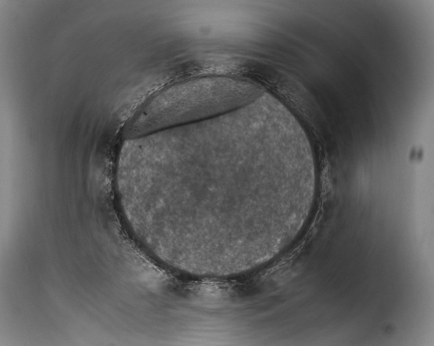 X0000115350305200911241159