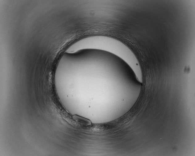 X0000115350308200911241159