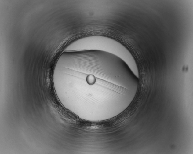 X0000115350312200911241159