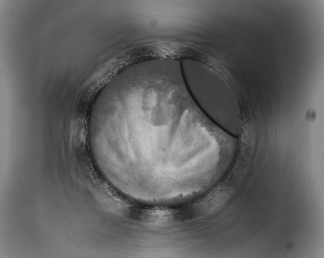 X0000115350313200911241159