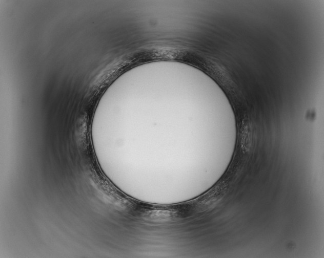 X0000115350314200911241159