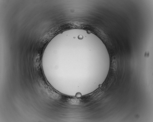 X0000115350318200911241159