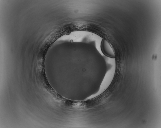 X0000115350319200911241159