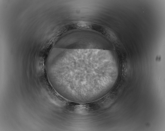 X0000115350320200911241159