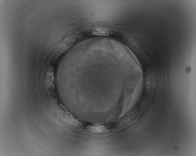 X0000115350322200911241159