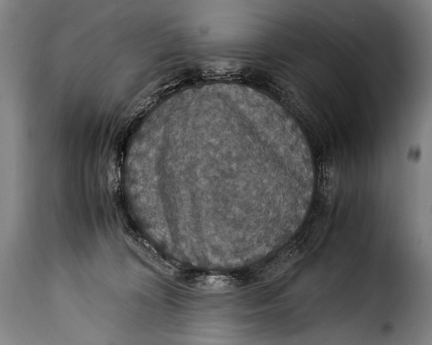 X0000115350324200911241159