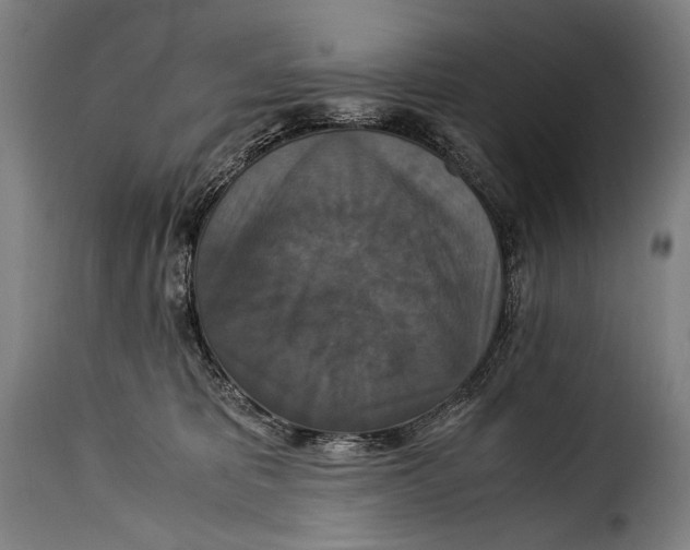 X0000115350325200911241159