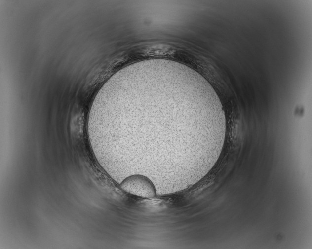 X0000115350326200911241159