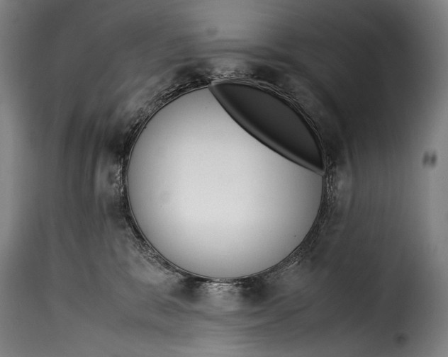 X0000115350327200911241159