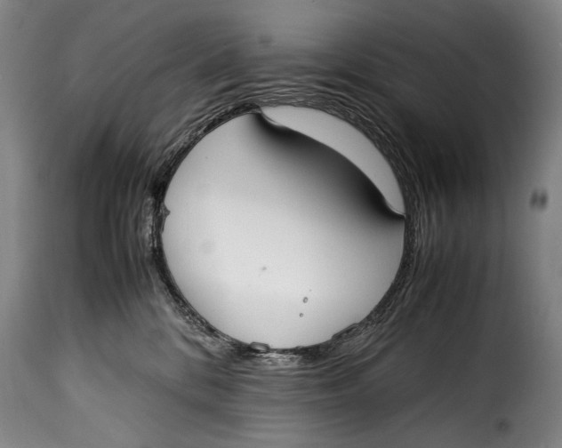 X0000115350328200911241159