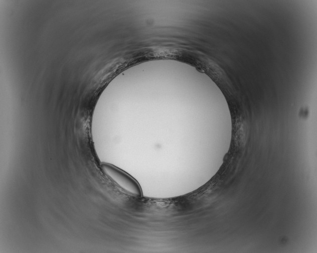 X0000115350329200911241159