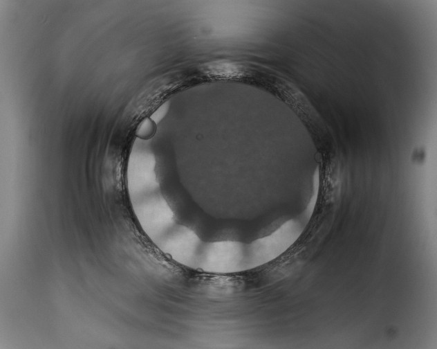 X0000115350330200911241159