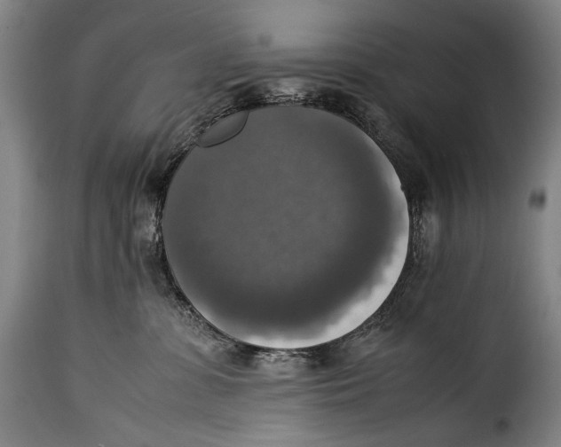 X0000115350331200911241159