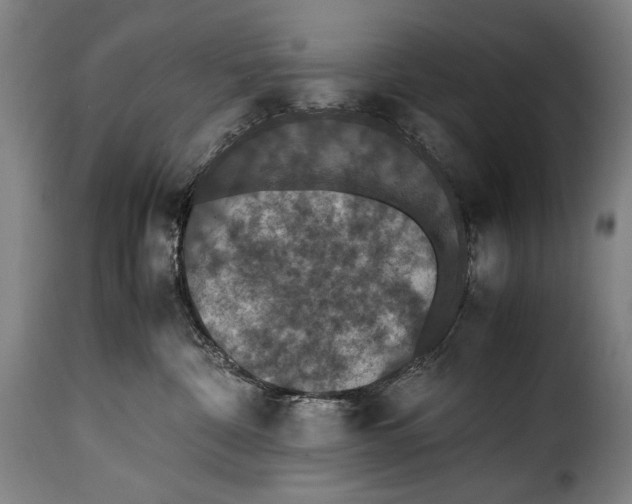 X0000115350332200911241159