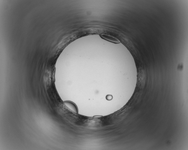 X0000115350333200911241159