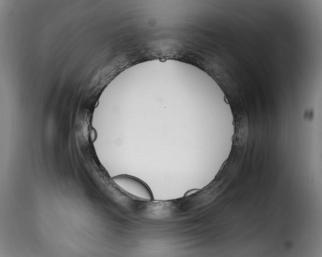 X0000115350334200911241159