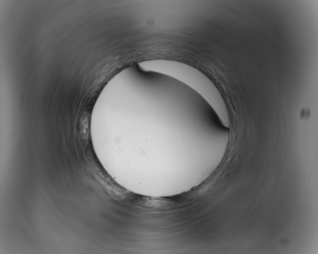 X0000115350336200911241159