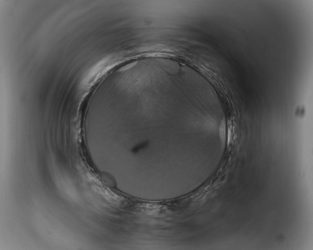 X0000115350339200911241158