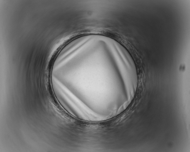 X0000115350342200911241158