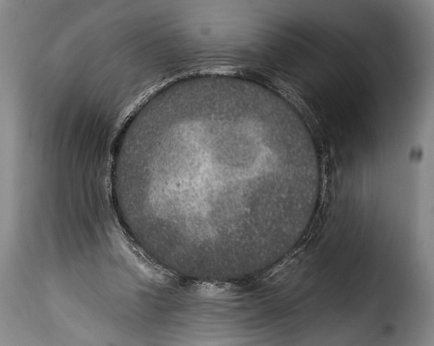 X0000115350346200911241158