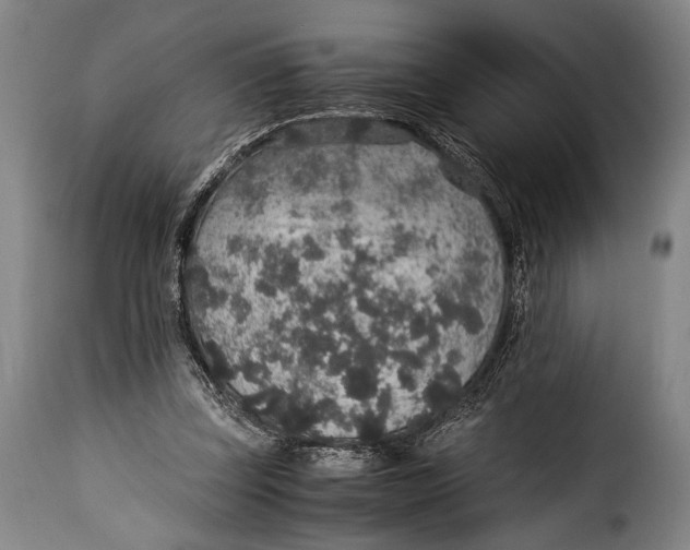 X0000115350347200911241158