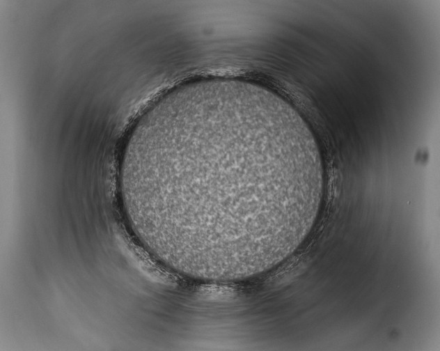 X0000115350354200911241158