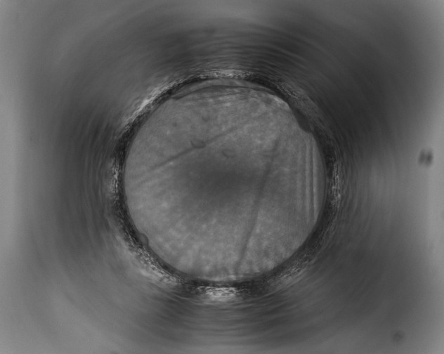 X0000115350355200911241158