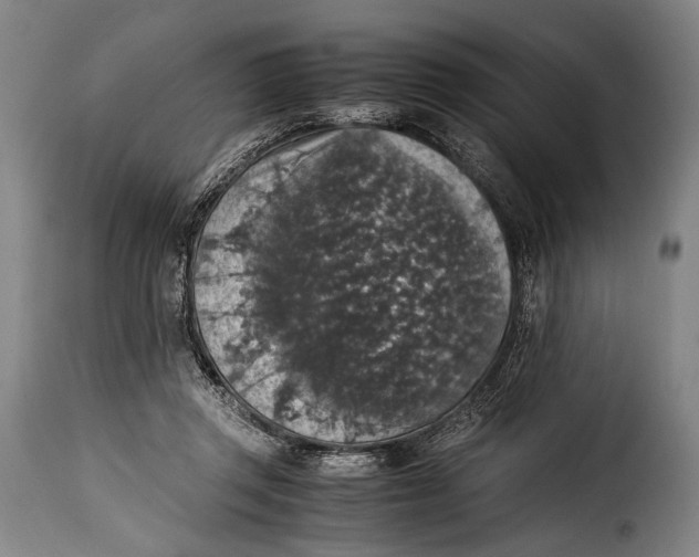 X0000115350357200911241158