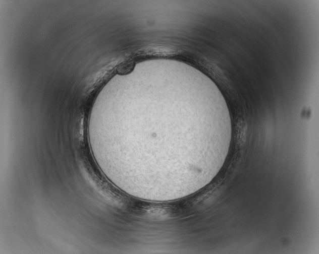 X0000115350358200911241158