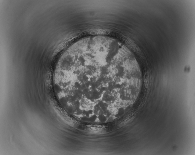 X0000115350359200911241158
