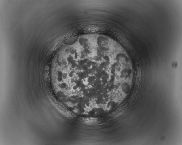 X0000115350361200911241158