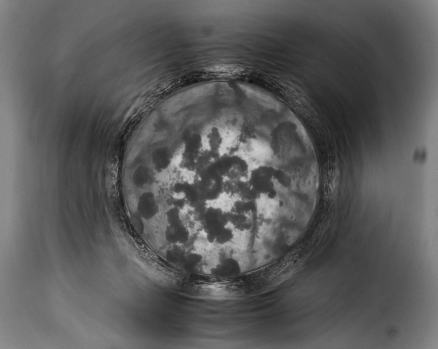 X0000115350365200911241158