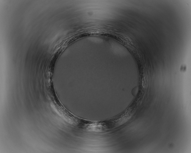 X0000115350366200911241158