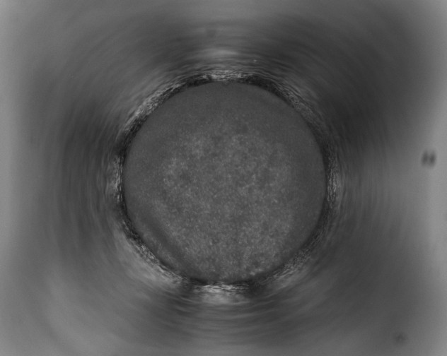 X0000115350367200911241158