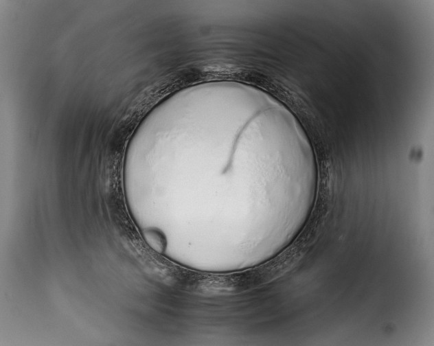 X0000115350369200911241158