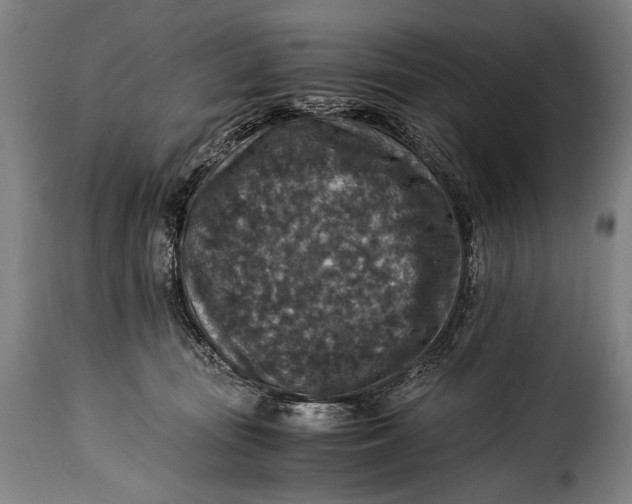 X0000115350371200911241158