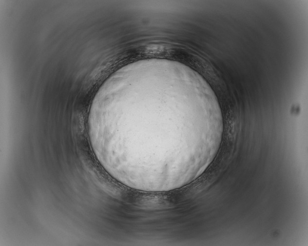 X0000115350375200911241158